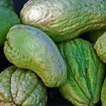 El chayote