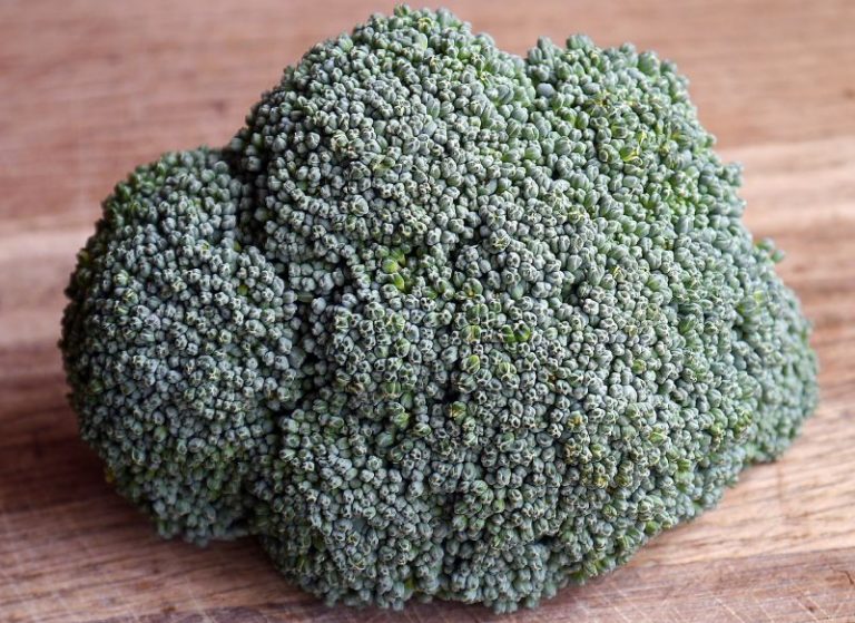 Brócoli beneficios, cultivo y valor nutricional esencial