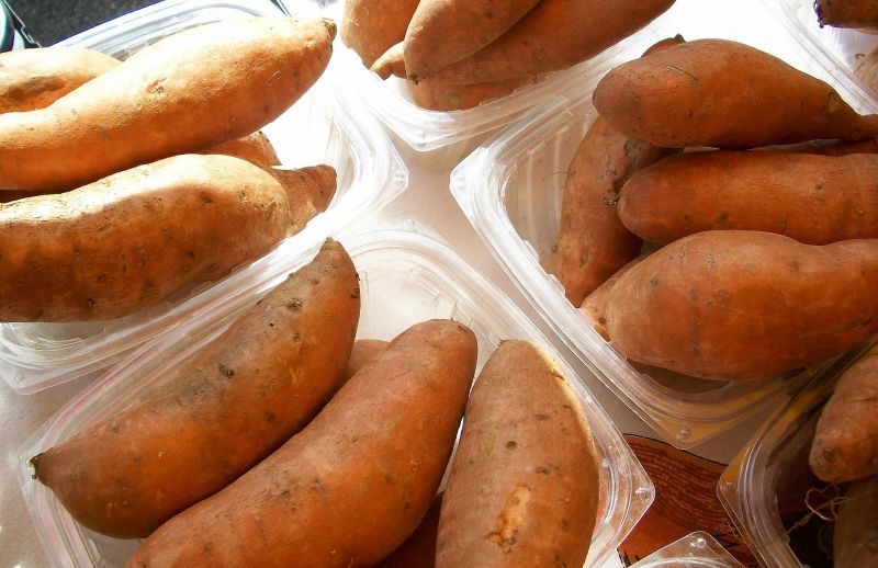 Batata Características, cultivo, beneficios y propiedades medicinales