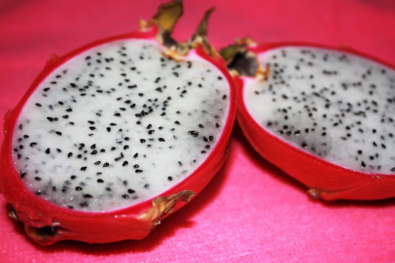 Pitahaya