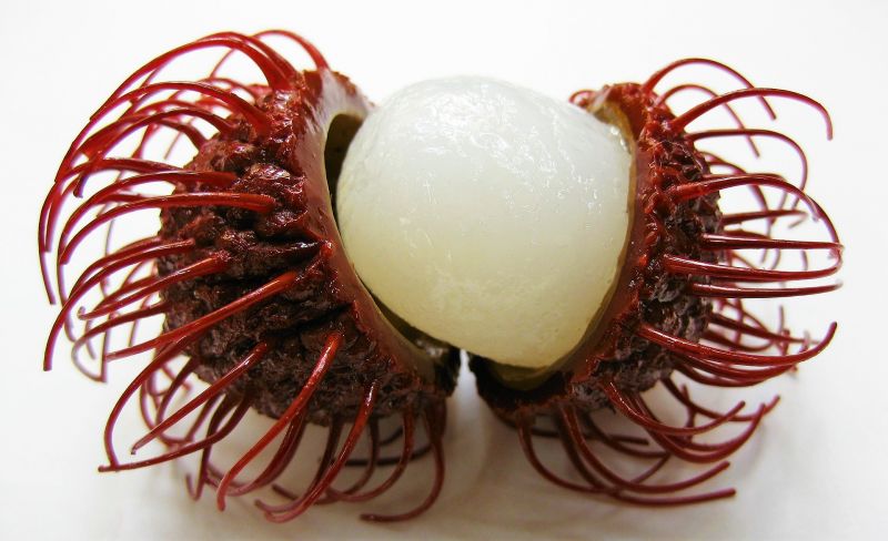 El rambután