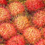 Rambután