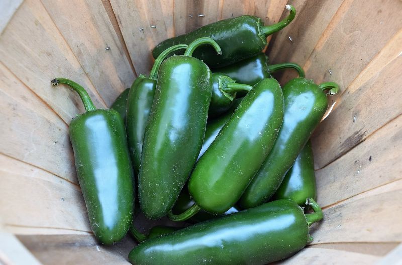 El chile jalapeño