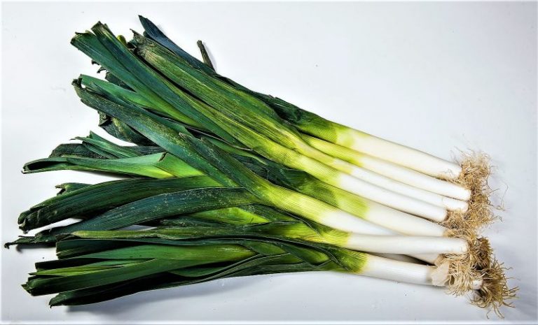 Puerro Caracter sticas Cultivo Beneficios Y Propiedades Planta