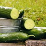 Pepino