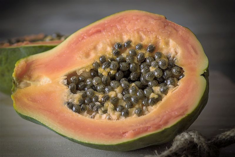 Papaya