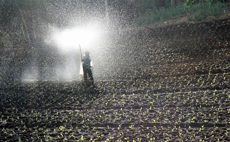 Fertilizantes Qué son, usos, clasificación, orgánicos, químicos Plantas