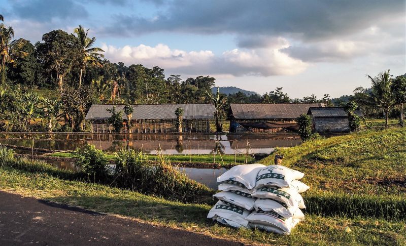 Fertilizantes orgánicos