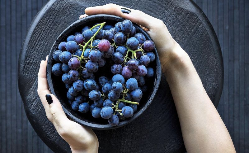 Vendimia Qué es, formas, tipos, riesgos, sugerencias, información Vino