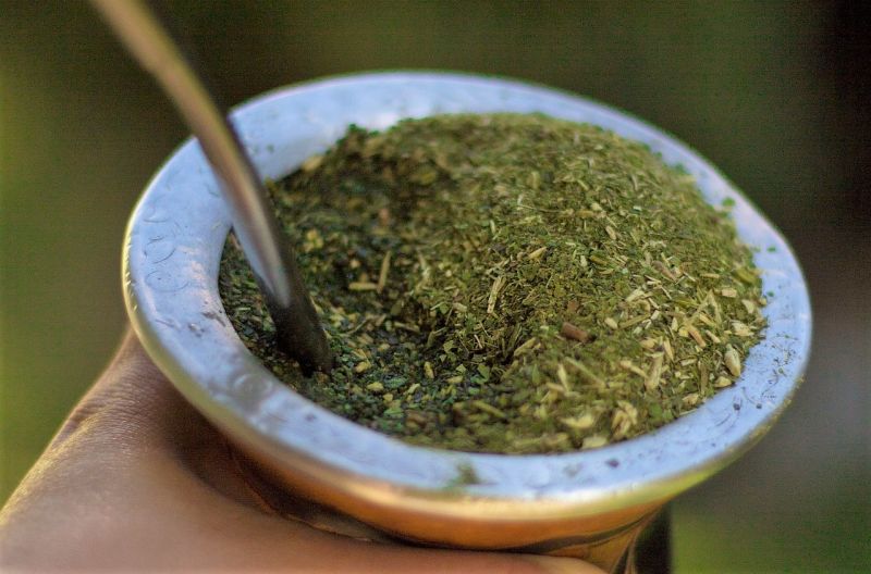 Yerba mate